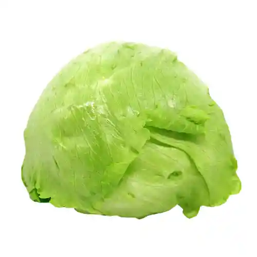 Lechuga Batavia