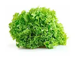 Lechuga Crespa