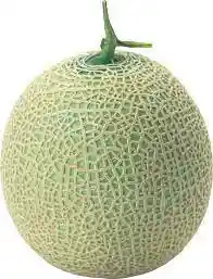 Melon