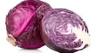 Repollo Morado