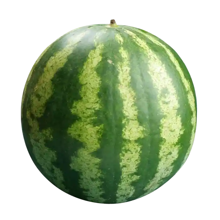 Sandia