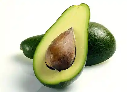 Aguacate Guatemalteco