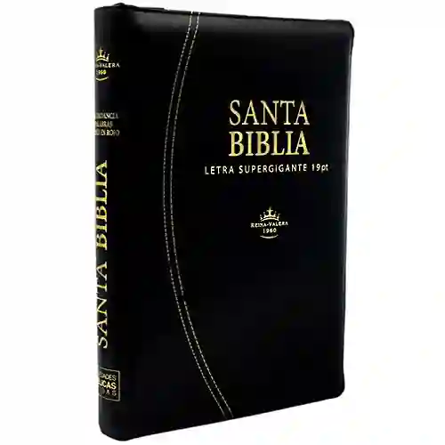 Santa Biblia Reina Valera 1960 Negro Letra Supergigante Con Cremallera 19pt