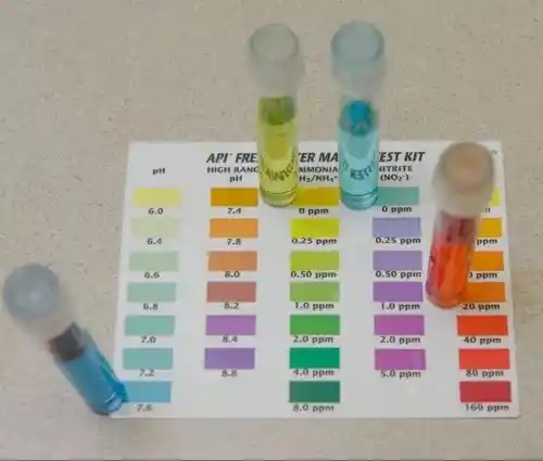 Kit Prueba Agua Dulce Test Api Freshwater Parámetros Acuario