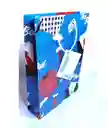 Bolsa Regalo Hombre Mediana Economica 25x16x6cm