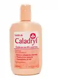 Caladryl (oxido De Zinc Y Calamina) Locion 100 Ml