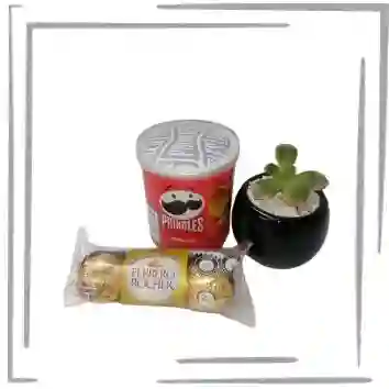 Regalo, Obsequio Planta Suculenta En Matera Negra + Chocolates + Papas