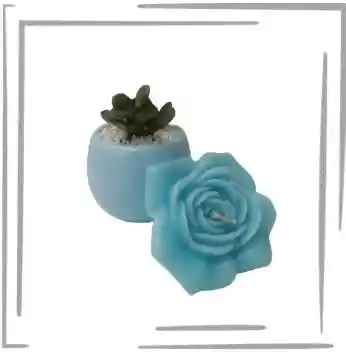 Set Planta Suculenta + Vela Perfumada Azul Cielo