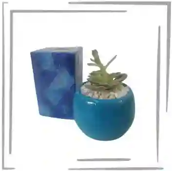 Obsequio Planta Suculenta Y Vela Azul