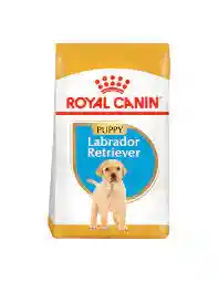 Royal Canin Labrador Puppy 12kg