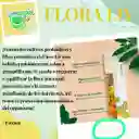 Flora Liv - Fuxion - Flora Intestinal