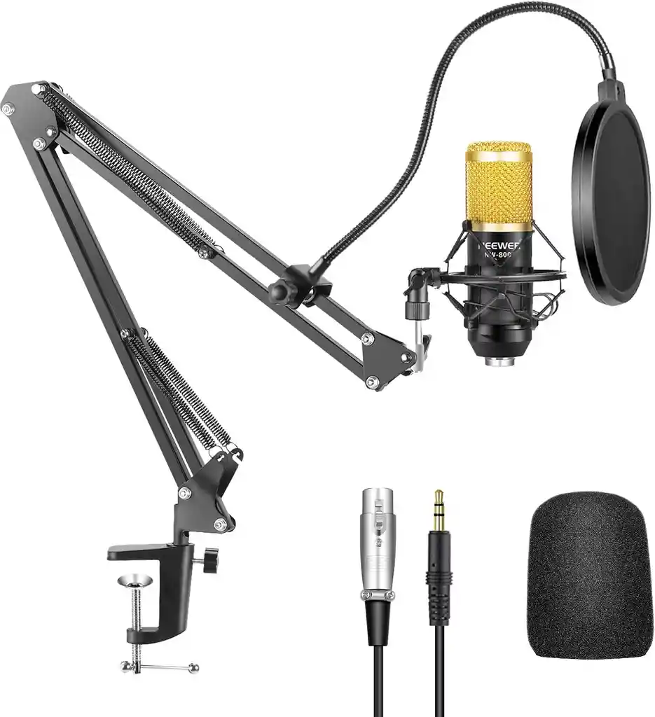 Micrófono Condensador Neewer Nw-800 Oro Profesional + Accesorios