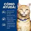 Hills Alimento Para Gatos Adulto Cuidado Urinario Cd Urinary Care Hills Gatos C/d 5.5 Oz