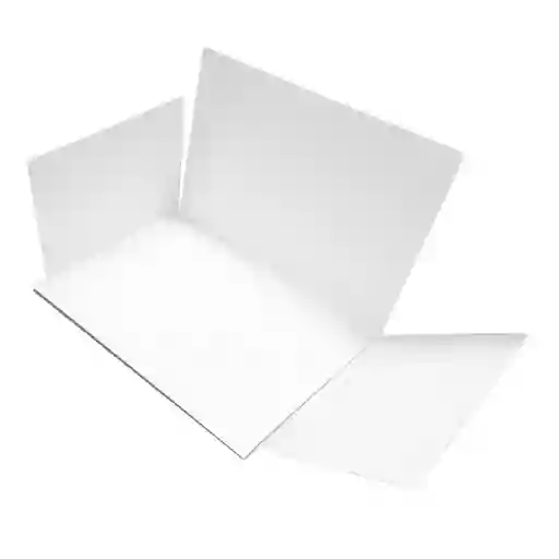 Carpeta De Presentacion 4 Aletas
