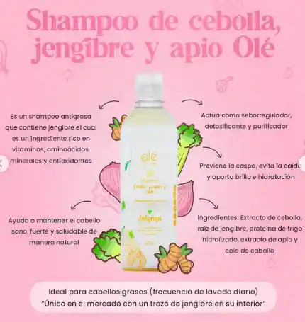 Shampoo De Cebolla, Jengibre Y Apio | Ole Capilar