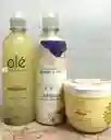 Shampoo De Cebolla, Jengibre Y Apio | Ole Capilar