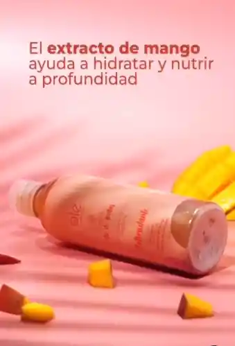 Shampoo Mix De Frutas | Ole Capilar