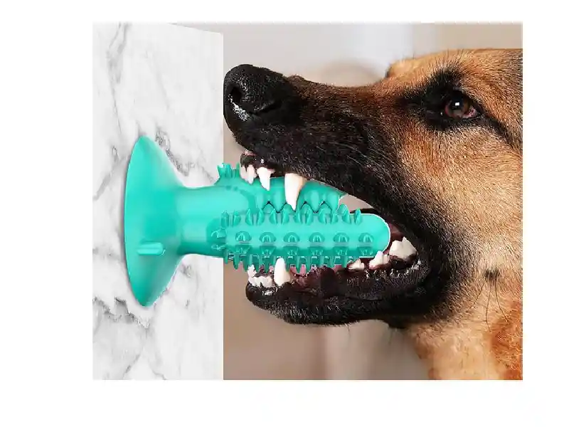 Cepillo Dental Para Mascotas