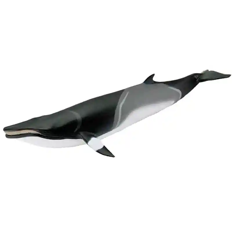 Figura Coleccionable Ballena Minke Safari