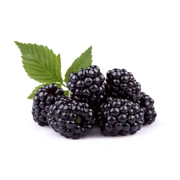 Moras