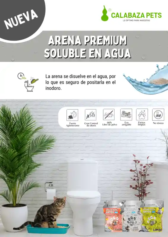 Arena Calabaza Premium Soluble En Agua Durazno X 10 Kg