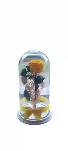 Rosa Preservada Grande Amarilla En Cupula De Cristal