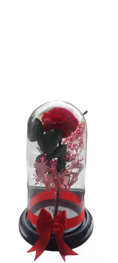 Rosa Preservada Grande Roja En Cupula De Cristal