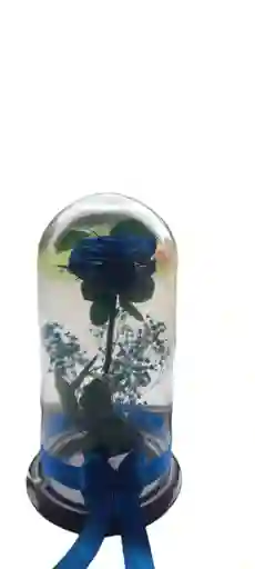 Rosa Preservada Grande Azul Oscura En Cupula De Cristal