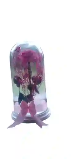 Rosa Preservada Grande Rosada En Cupula De Cristal