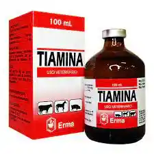 Tiamina Iny Fco X 100 Ml