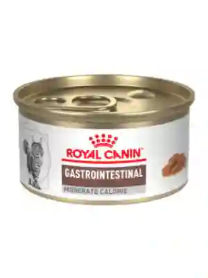 Royal Canin Alimento Para Gato Gastrointestinal Moderate Calorie