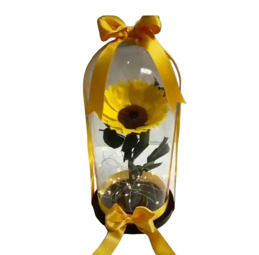 Girasol Preservado En Urna De Cristal Con Luces .