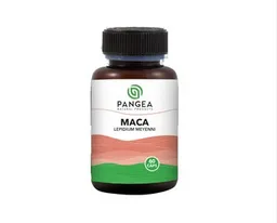 Maca - Pangea X 30 G