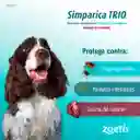 Simparica Trio Para Perros 2.5 A 5kg Pulgas Y Garrapatas,parasitos Y Gusano Del Corazon Desparasitante Y Antipulgas