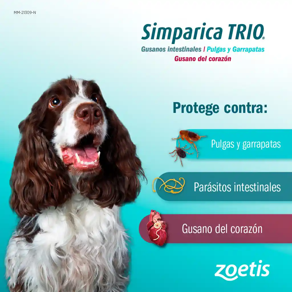 Simparica Trio Para Perros 2.5 A 5kg Pulgas Y Garrapatas,parasitos Y Gusano Del Corazon Desparasitante Y Antipulgas