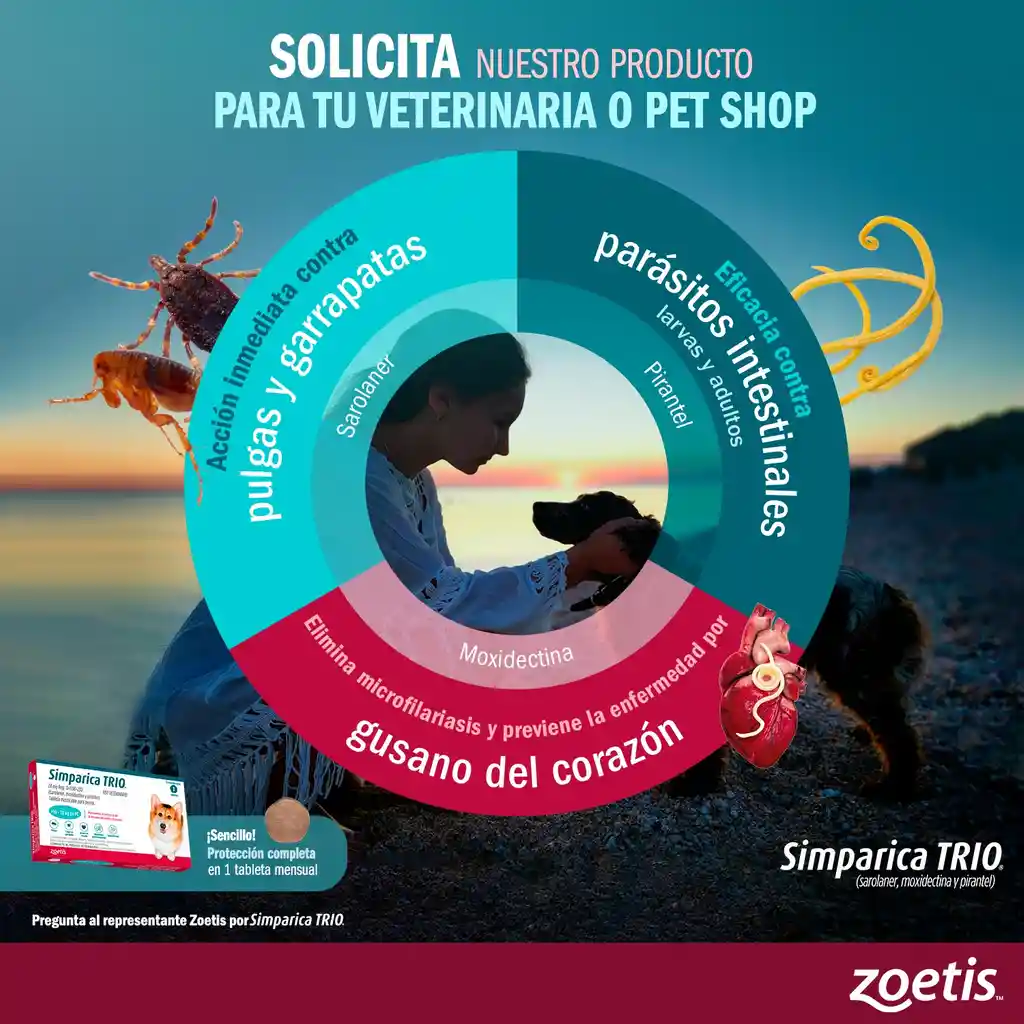 Simparica Trio Para Perros 2.5 A 5kg Pulgas Y Garrapatas,parasitos Y Gusano Del Corazon Desparasitante Y Antipulgas