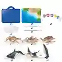 Kit De Pintura 3d De Oceano , Juguete Educativo Niños