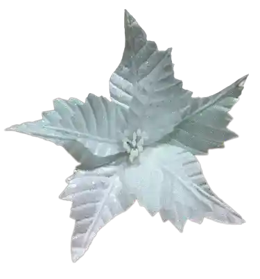 Flor De Navidad Blanco Pequeña