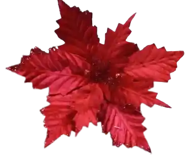 Flor De Navidad Roja Pequeña