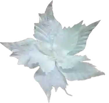 Flor De Navidad Blanco Grande