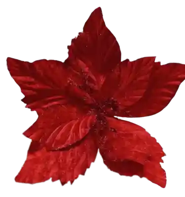 Flor De Navidad Rojo Grande