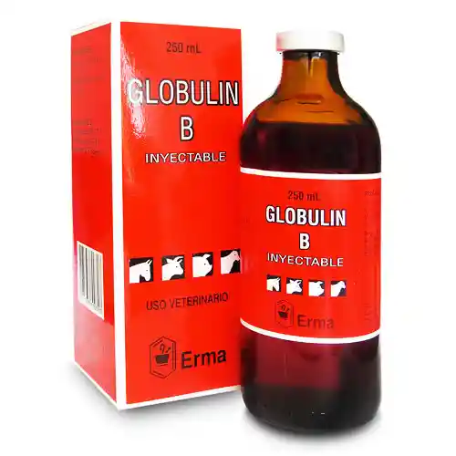 Globulin B Iny Fco X 250 Ml