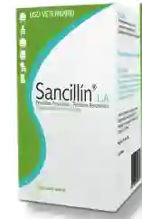 Sancillin Iny Fco 100 Ml