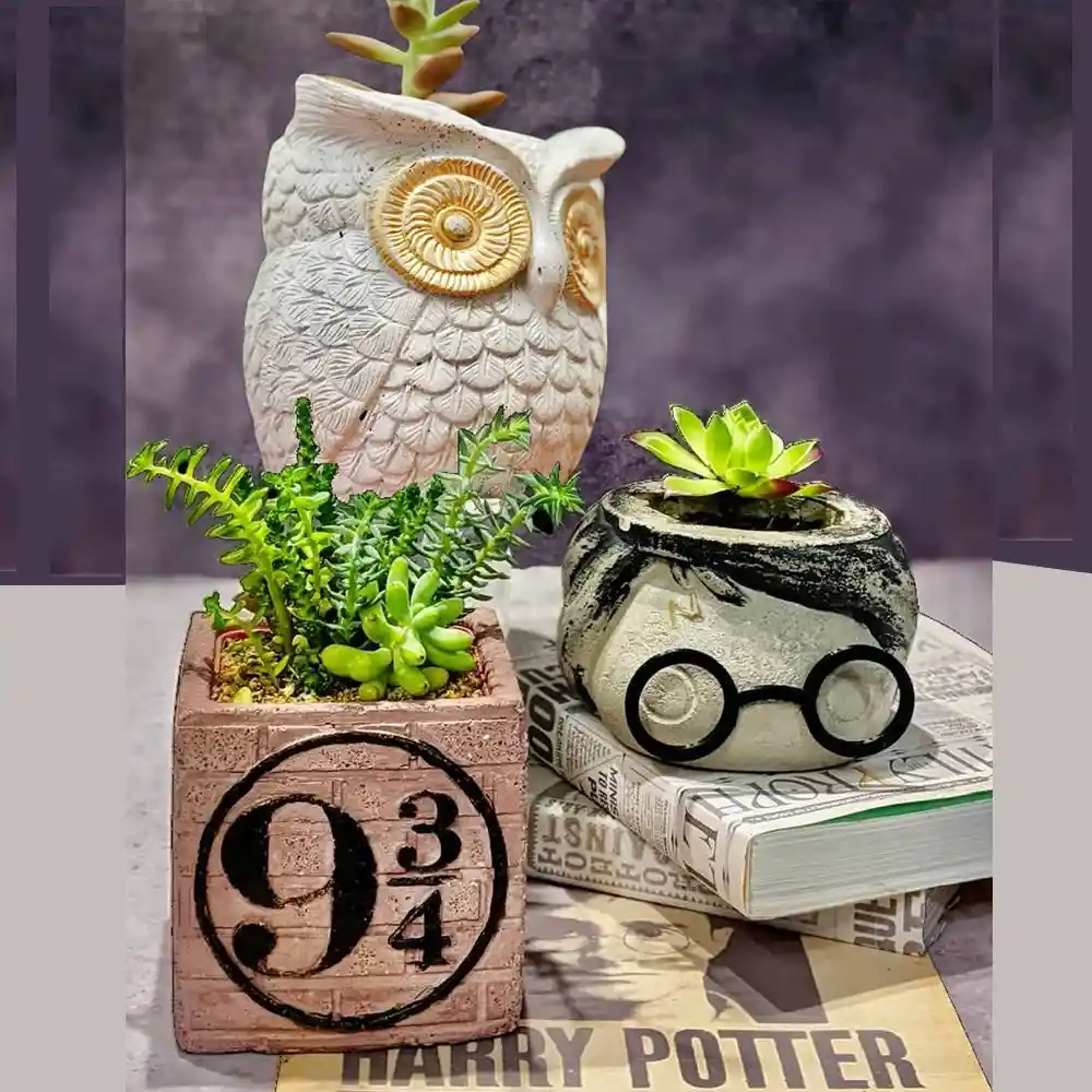 Maceta Harry Potter Colección Completa Matera Regalo