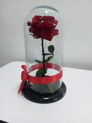 Rosa Preservada Rosa Roja Grande