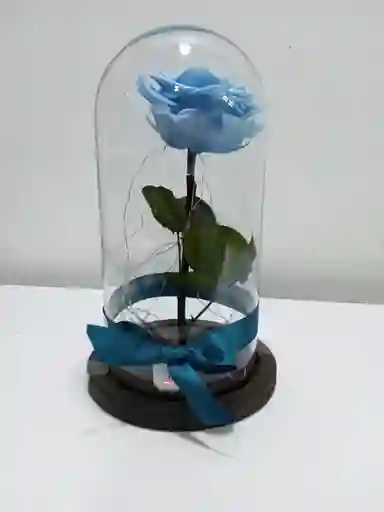 Rosa Preservada Azul Claro