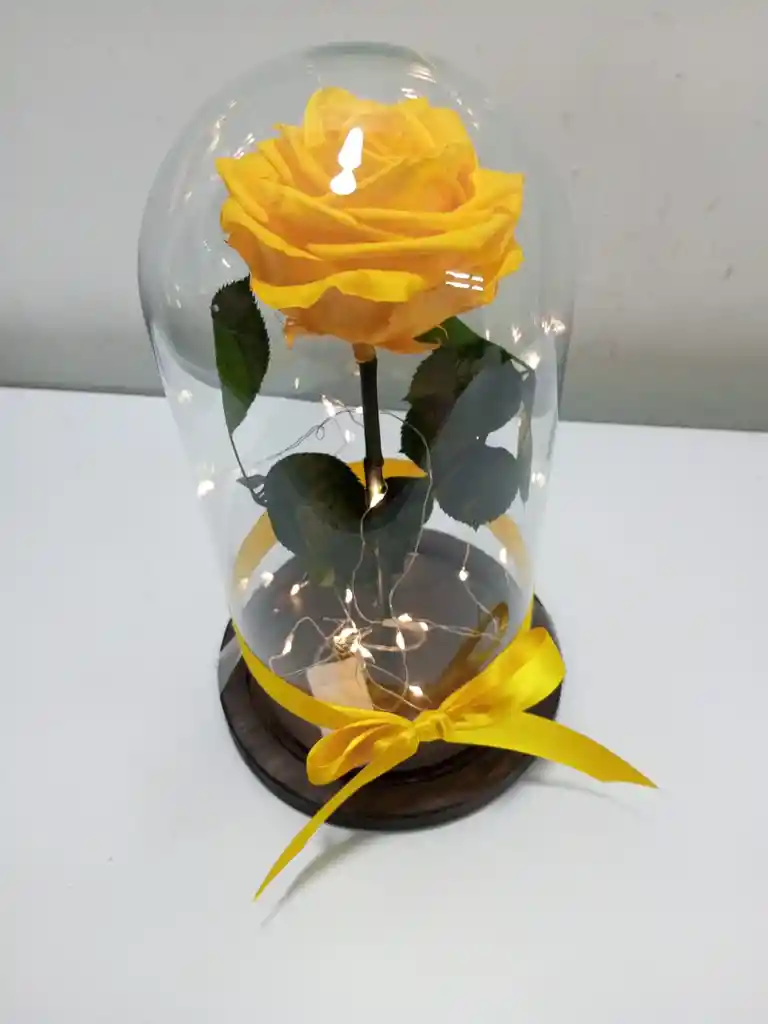 Rosa Preservada Color Amarillo