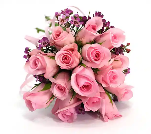 Felicidad - Ramo 12 Rosas Rosadas