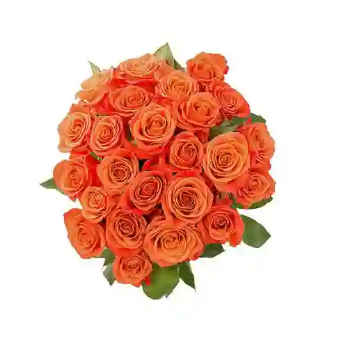 Sol Radiante - Ramo 12 Rosas Naranja