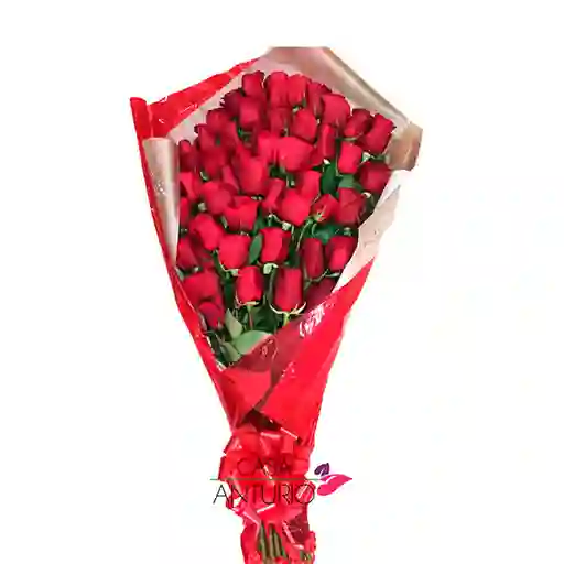 Amor Extraordinario - Gran Bouquet 24 Rosas Rojas